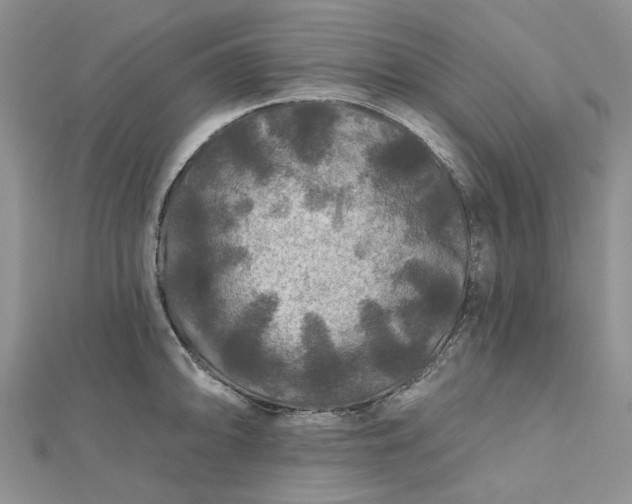 X0000112801094200909041427