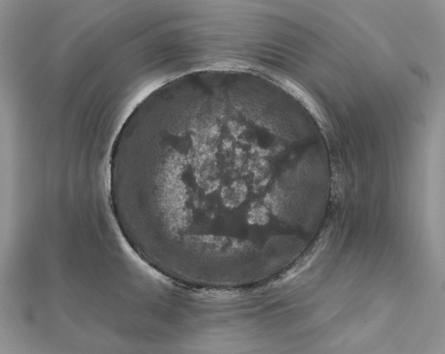 X0000112801095200909041427