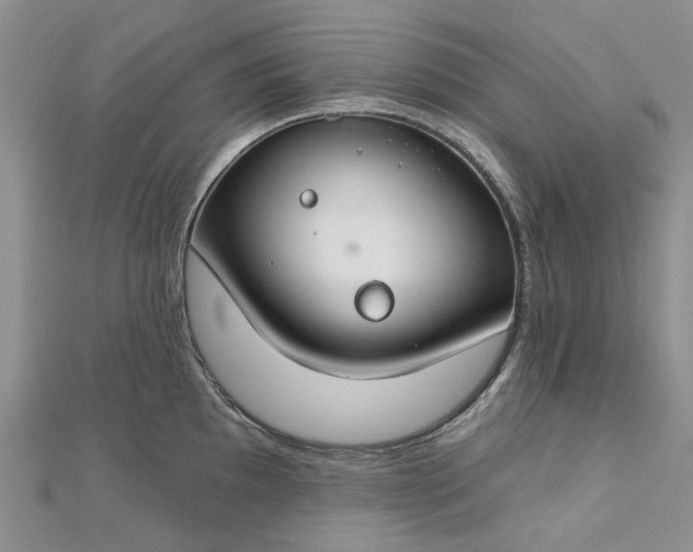 X0000112801097200909041427