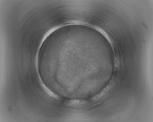 X0000112801098200909041427