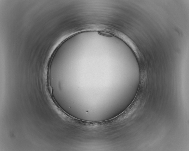 X0000112801099200909041427