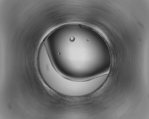 X0000112801101200909041427
