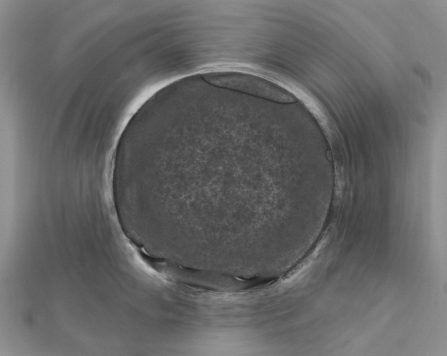 X0000112801102200909041427