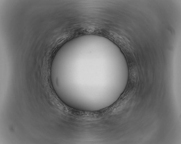 X0000112801105200909041427