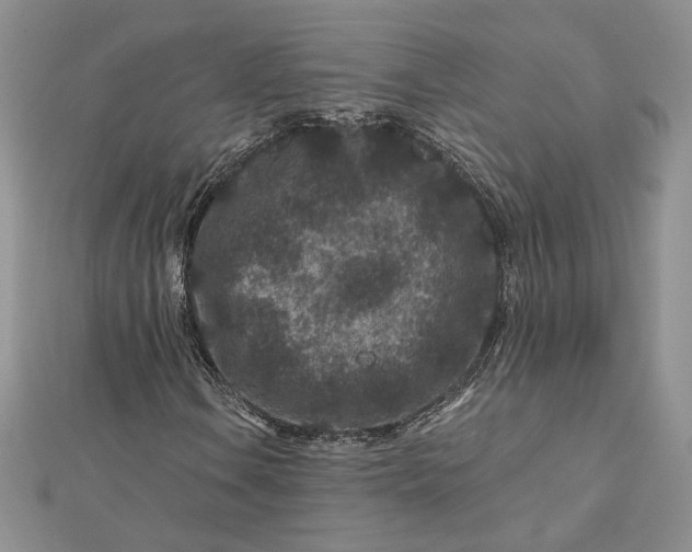 X0000112801106200909041427