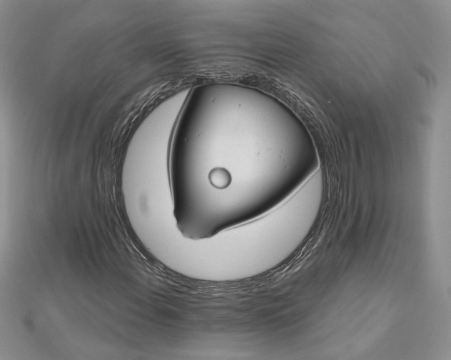 X0000112801108200909041427