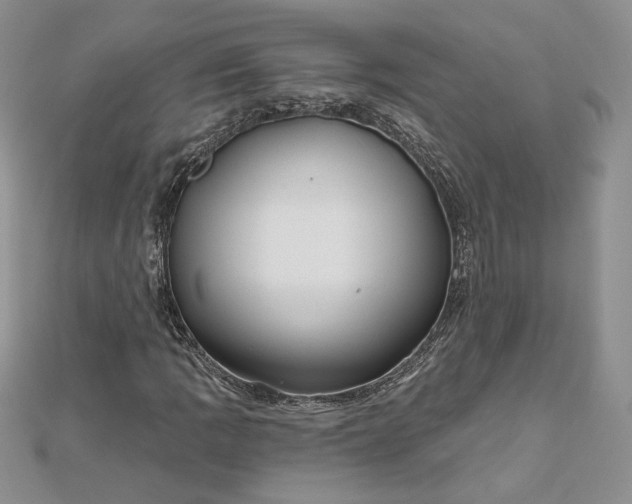 X0000112801109200909041427