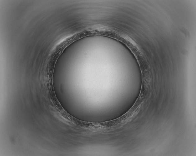 X0000112801112200909041427