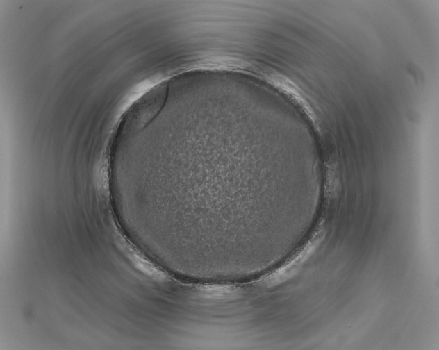 X0000112801114200909041427
