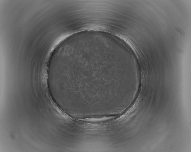 X0000112801115200909041427