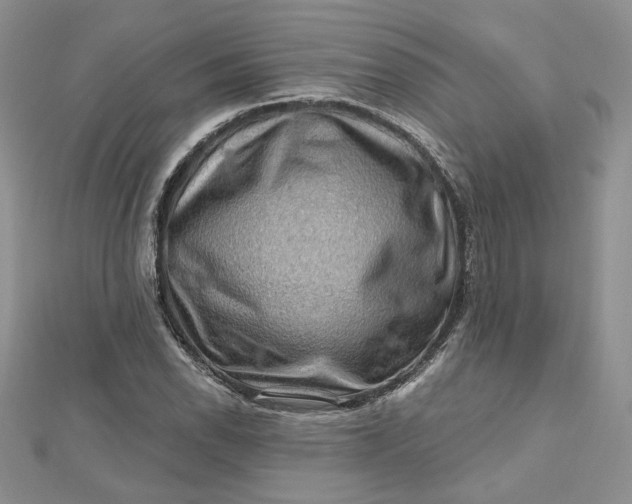 X0000112801118200909041427