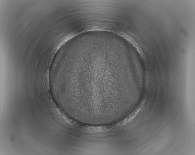 X0000112801121200909041427