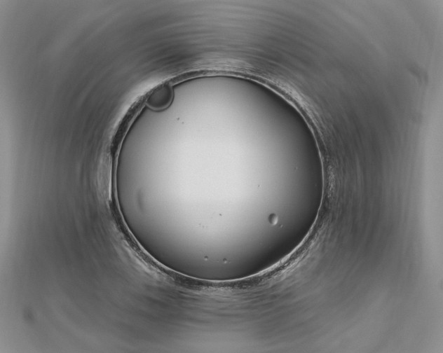 X0000112801123200909041427