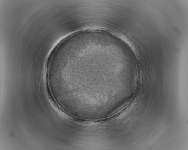 X0000112801124200909041427