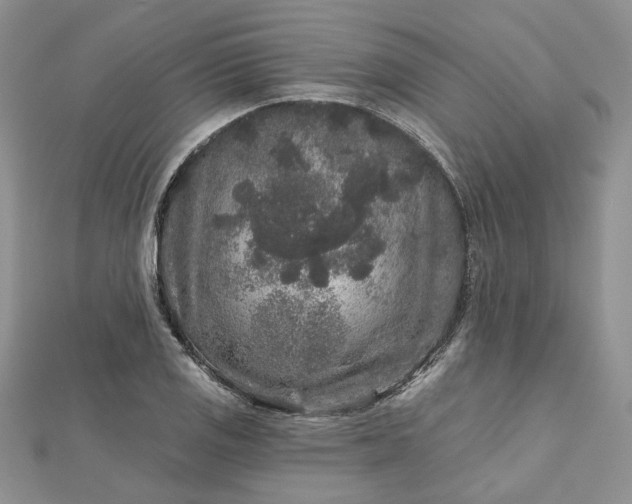 X0000112801125200909041427