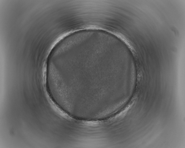 X0000112801126200909041427