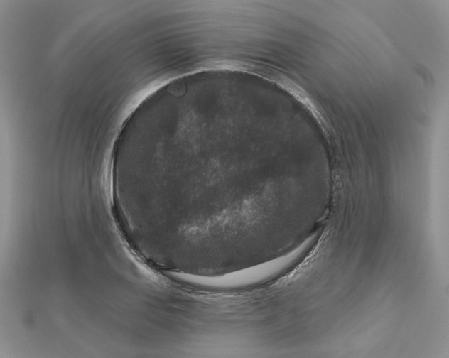 X0000112801127200909041427