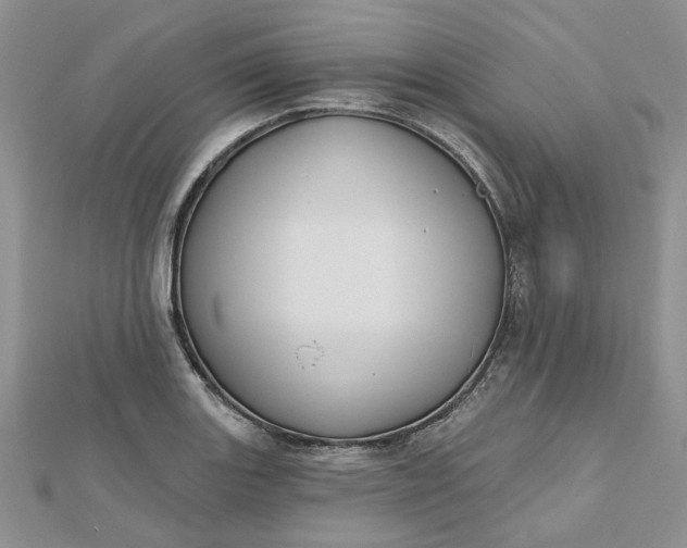 X0000112801131200909041427