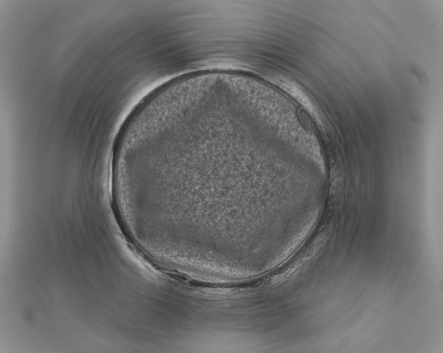 X0000112801132200909041427