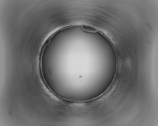X0000112801134200909041427