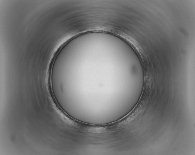 X0000112801135200909041427