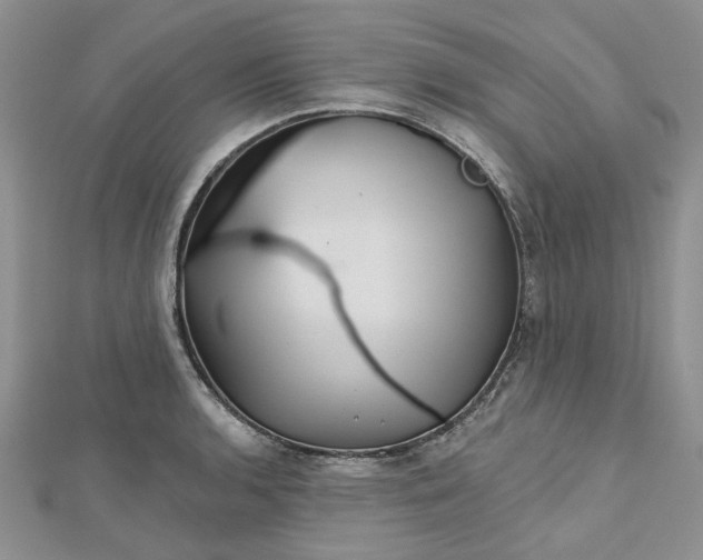 X0000112801136200909041427
