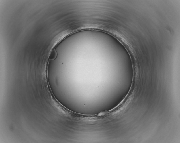 X0000112801137200909041427