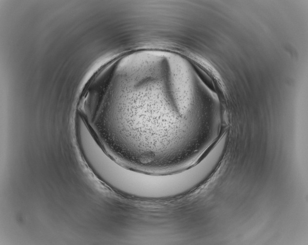 X0000112801138200909041427