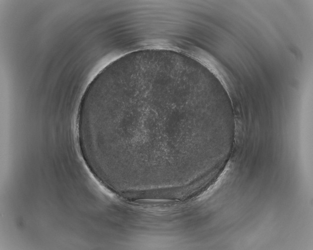 X0000112801141200909041427