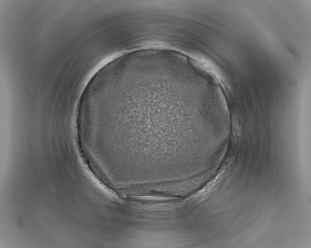 X0000112801142200909041427