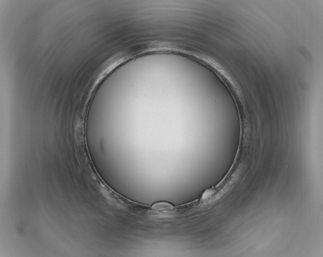 X0000112801145200909041427