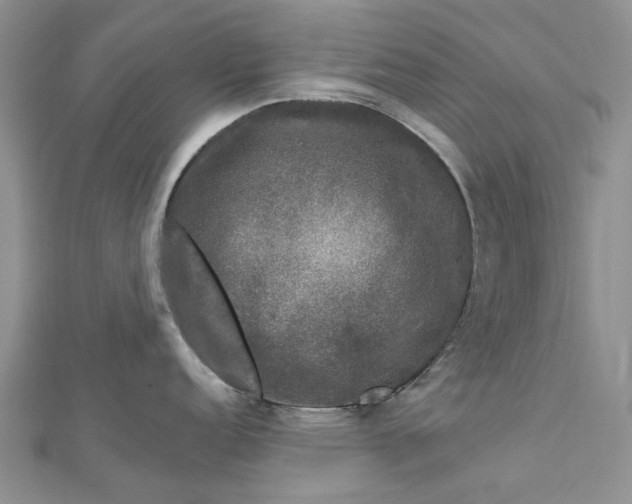 X0000112801152200909041427