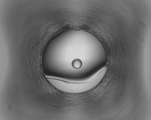 X0000112801153200909041427