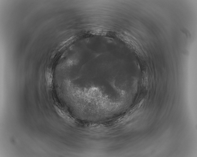 X0000112801154200909041427