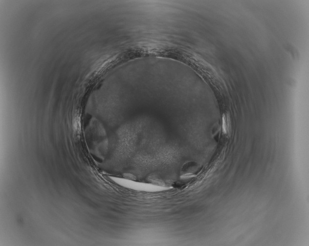 X0000112801155200909041427