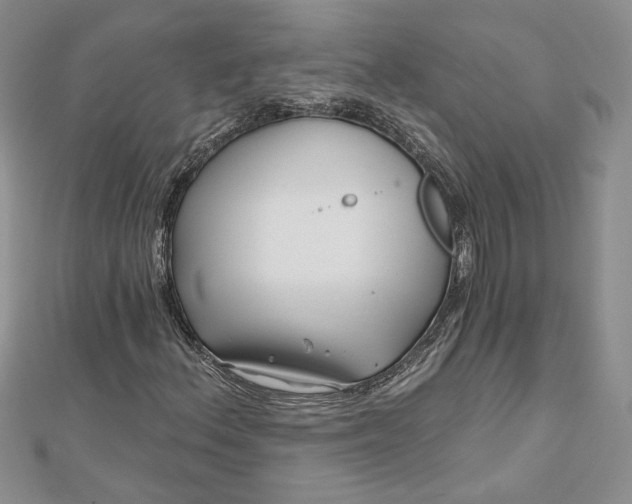 X0000112801156200909041427