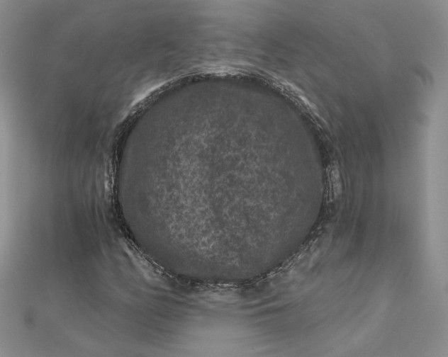 X0000112801158200909041427