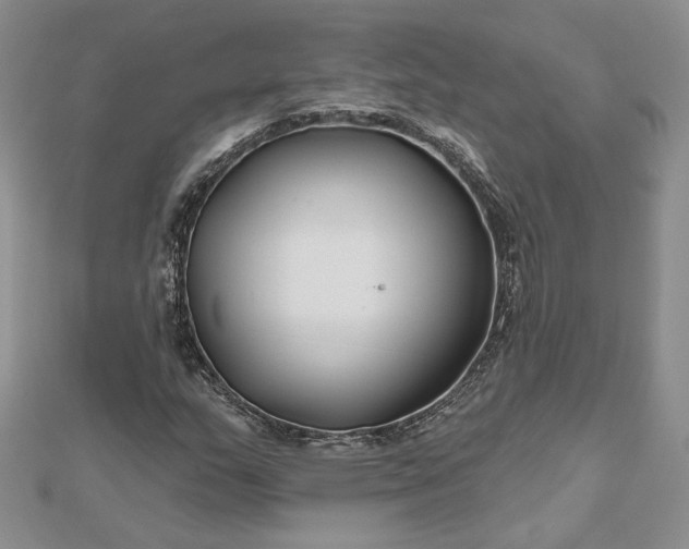 X0000112801159200909041427