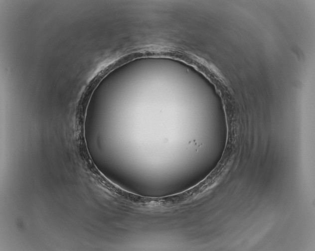 X0000112801160200909041427