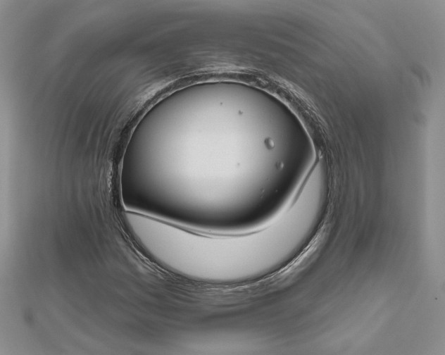 X0000112801161200909041427