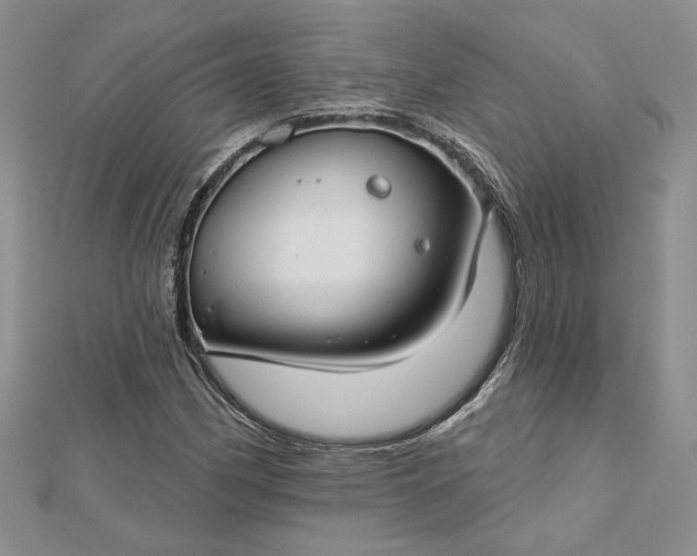 X0000112801162200909041427