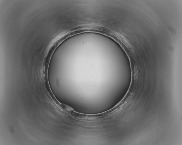 X0000112801164200909041427