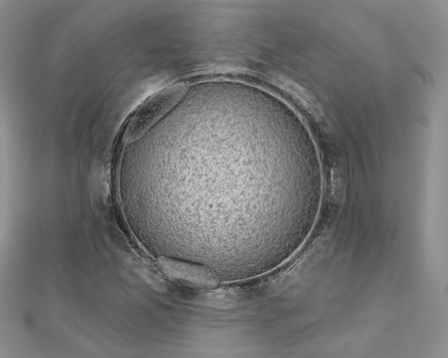 X0000112801165200909041427