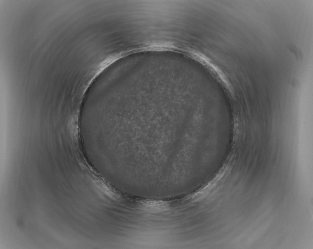 X0000112801170200909041426