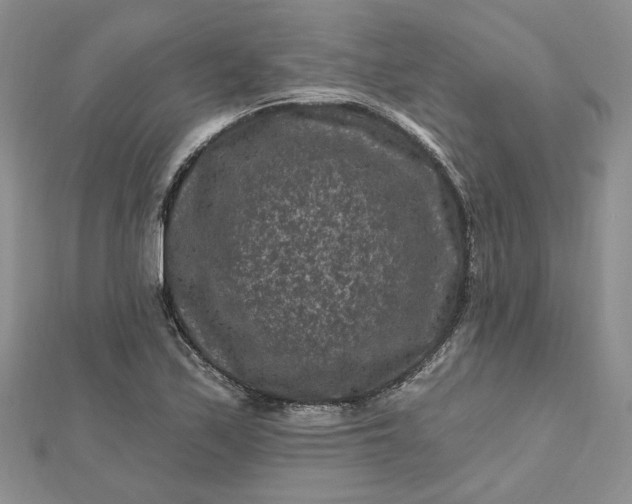 X0000112801171200909041426