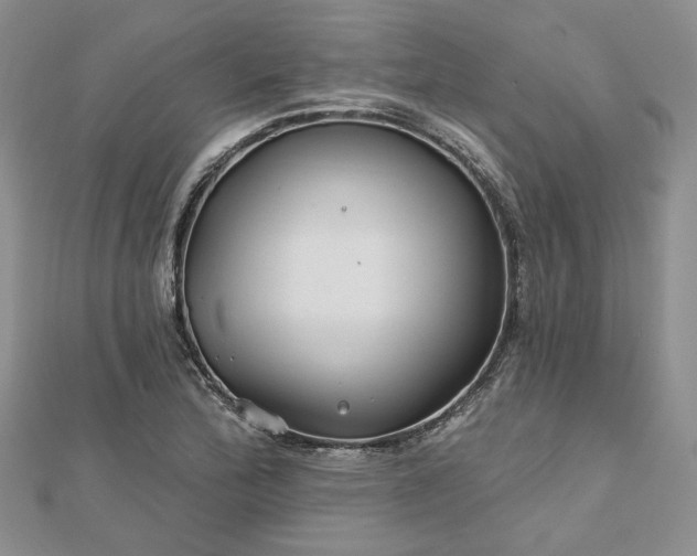 X0000112801172200909041426