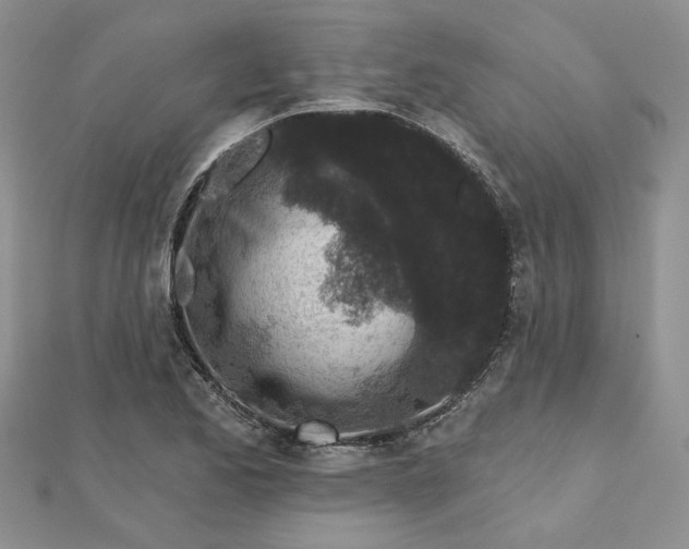 X0000112801173200909041426