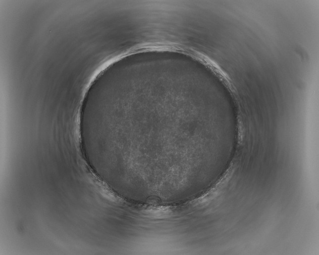 X0000112801174200909041426