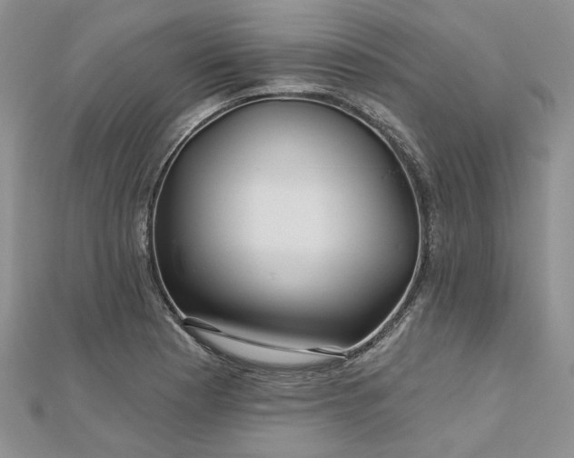 X0000112801177200909041426