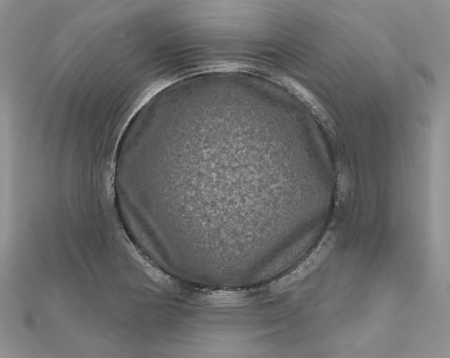 X0000112801178200909041426
